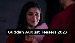 Guddan August Teasers 2023